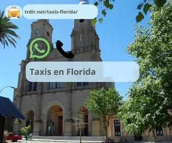 Imagen destacada del artículo Taxis en florida