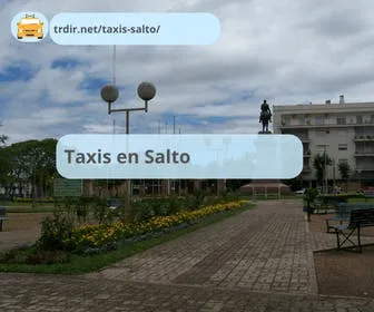Enceuntra servicio de taxis en salto