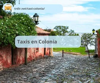 Imagen destacada del artículo taxis en colonia